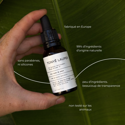 Gel Booster Antioxydant